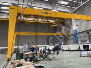 Gantry Crane Chain Hoist