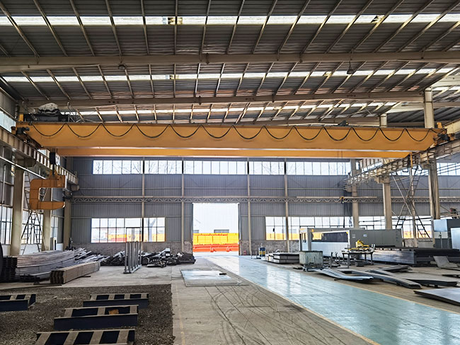 Double Girder Overhead Crane in Saudi Arabia