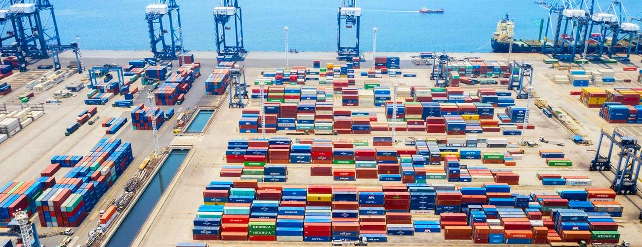 High-volume container port with vessels, quay cranes, and container storage yards