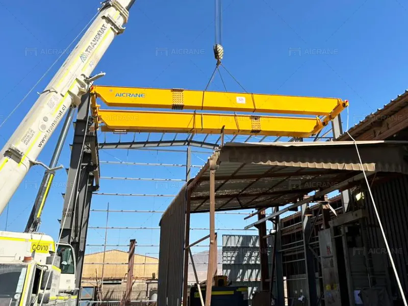 Overhead Crane For Mining in Chile